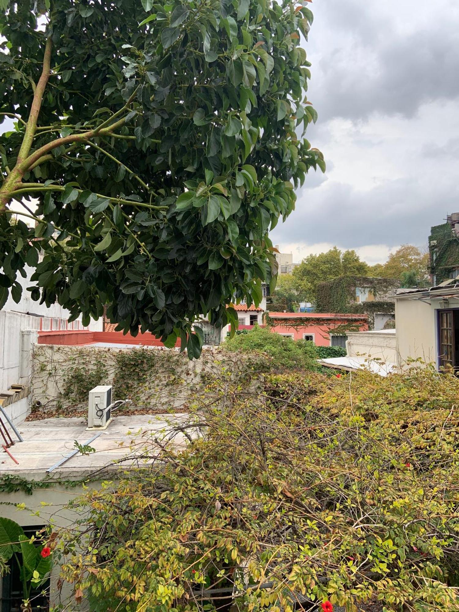 Costa Rica Soho Rooms Μπουένος Άιρες Εξωτερικό φωτογραφία